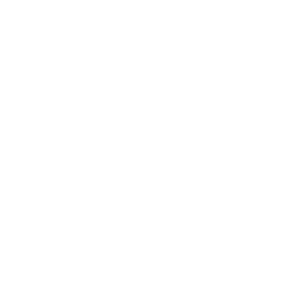 Ligue 1 logo